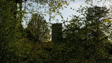 Turm durch dichte grüne Bäume sichtbar.