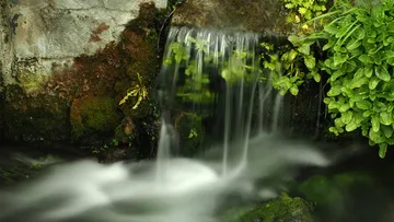 Kleiner Wasserfall fließt über Felsen, umgeben von Grün.