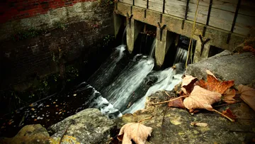 Water flowing over dam with leaves nearby.