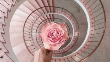 Rote Rose über Wendeltreppe gehalten.