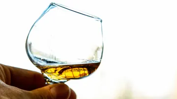 Hand hält ein Glas mit bernsteinfarbener Flüssigkeit.