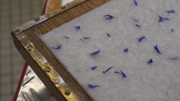 Handmade paper sheet with embedded blue petals.
