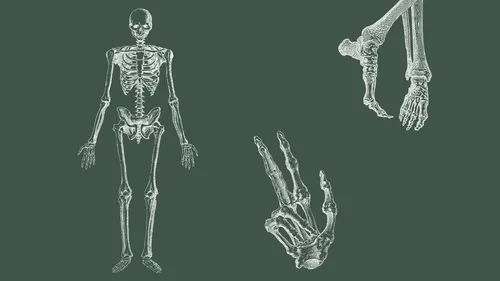 Skeleton illustrations on dark green background.