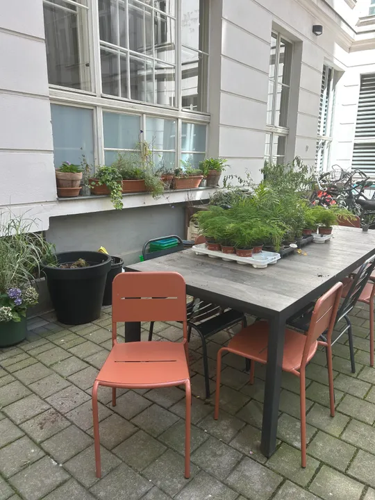 Stühle um Tisch mit Topfpflanzen im Freien.