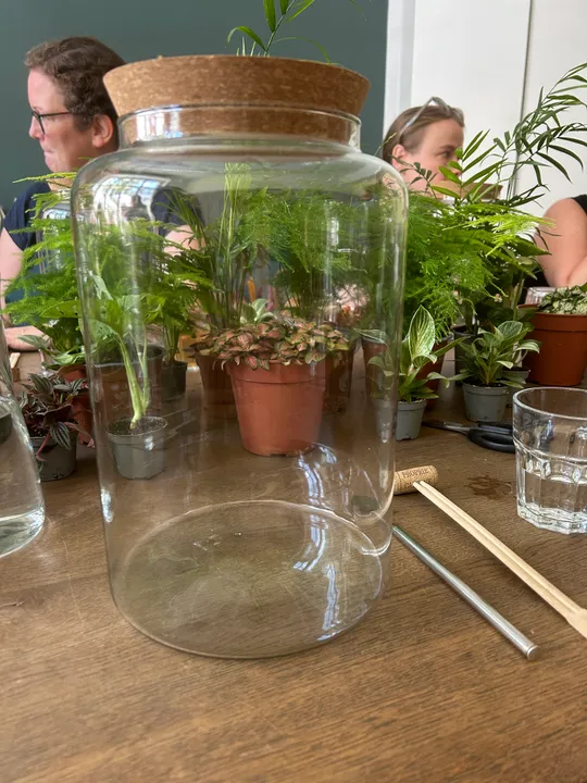 Glasgefäß auf Tisch mit Zimmerpflanzen.