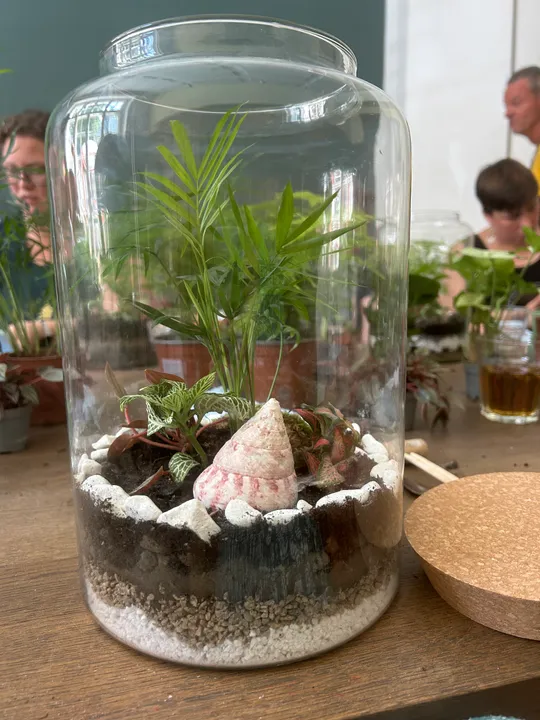 Terrarium mit Pflanzen auf Holztisch.