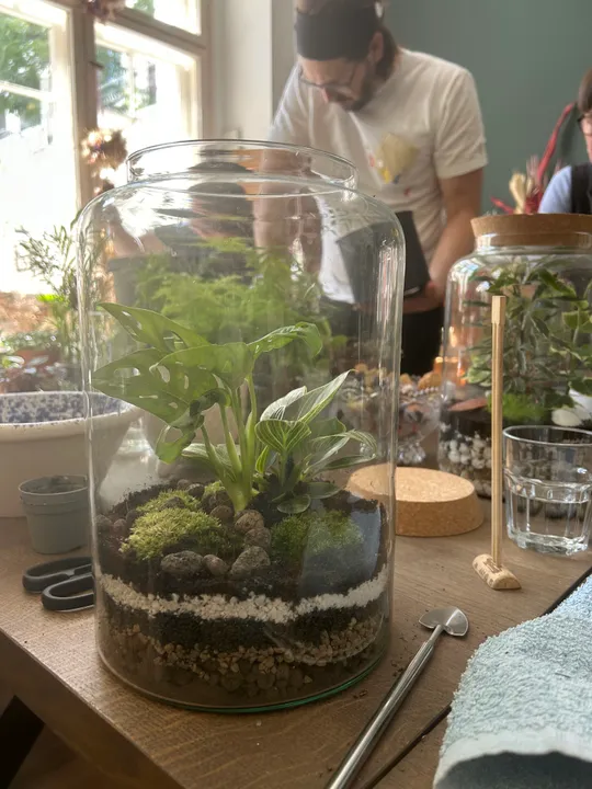 Terrarium with plants on a wooden table.