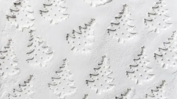 Tree-shaped cutouts in white powdered background.