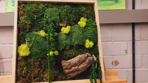 Mooskunst: Dein Naturkunstwerk in Bochum