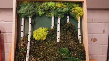 Miniatur-Walddiorama mit Moos, Birken.