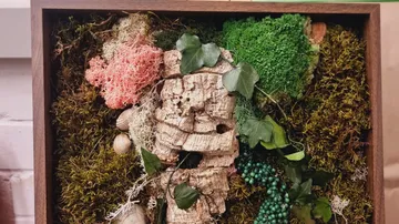 Holzkasten mit Moos und Rinde, dekorative Anordnung.