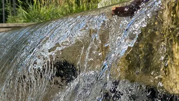 Water cascading over a stone ledge outdoors.