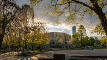 Trees framing a modern building at sunset.