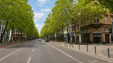 Street lined with trees, cars in distance.