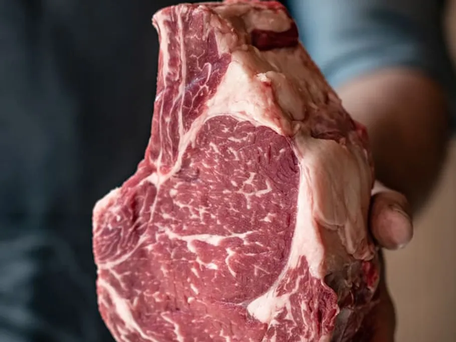 Ein großes Stück Fleisch wird von einer Hand gehalten.