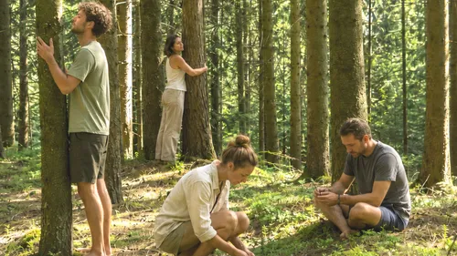 Menschen verbinden sich mit der Natur im Wald.