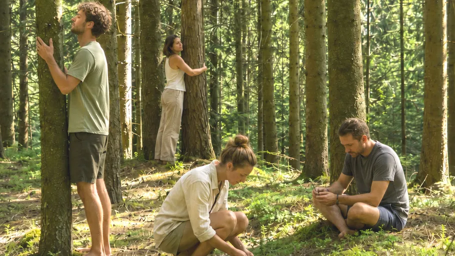 People connecting with nature in a forest.