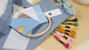 Embroidery kit with colored threads and hoop.