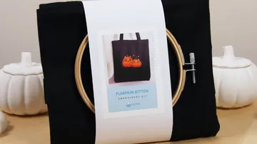 Embroidery kit with pumpkin kitten design.