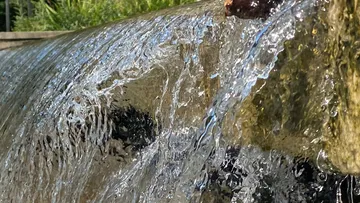 Flowing water cascading over rocks outdoors.