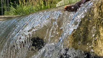 Wasser fließt über einen Stein, draußen