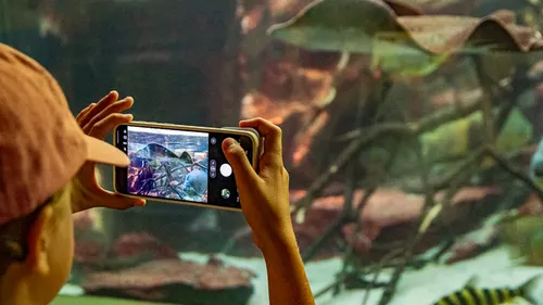 Fotoworkshop im Zoo für Kinder in Frankfurt am Main