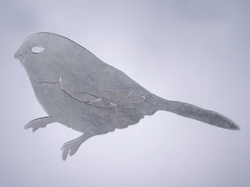 Silver bird sits against a bright, monochrome background.
