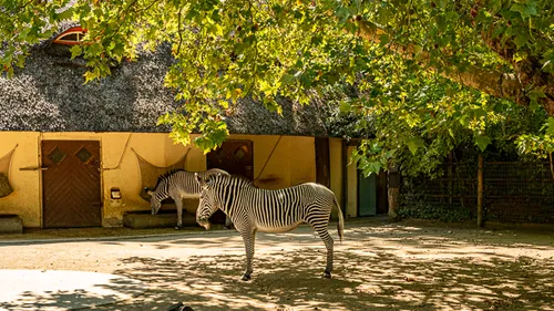Kinder-Fotoworkshop im Zoo in Augsburg