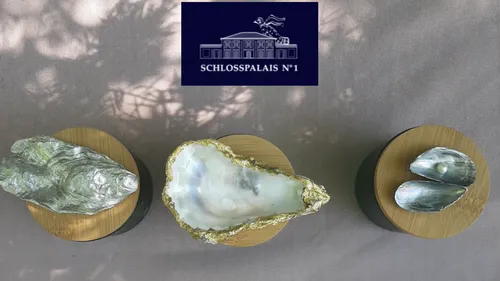Three oysters displayed on wooden platforms.