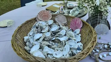 Basket of shells on decorated table outdoors.