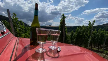 Two wine glasses on car hood in vineyard.