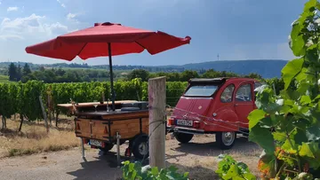 Red car with trailer in vineyard landscape.