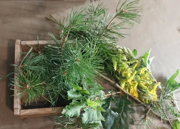 Holzkiste mit Kiefern- und Eichenästen.