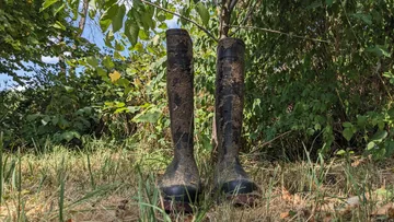 Muddy boots stand on grass near trees.