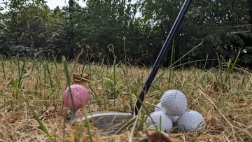 Golf club and balls on grassy field.