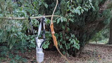 Bow and quiver hanging on tree branch outdoors.
