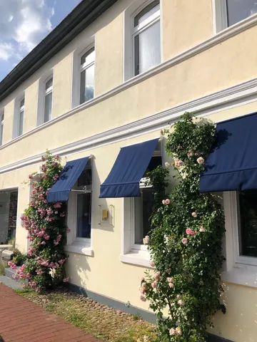 House with blooming roses on wall.