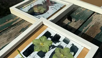 Gerahmte gepresste Blumen auf verwittertem Holztisch.