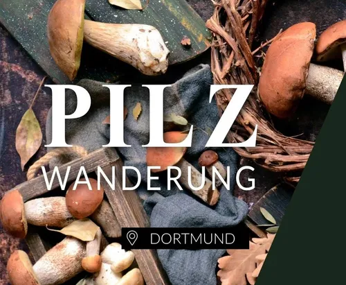 Pilze umgeben Text auf einem Tisch.