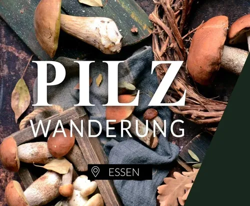 Essbare Pilze bestimmen in Essen