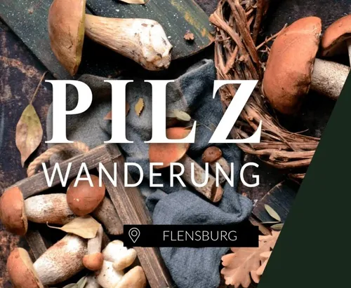 Essbare Pilze bestimmen in Flensburg