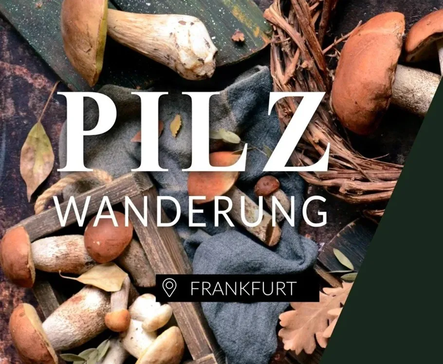 Pilze arrangiert mit Blättern, Text darüber.