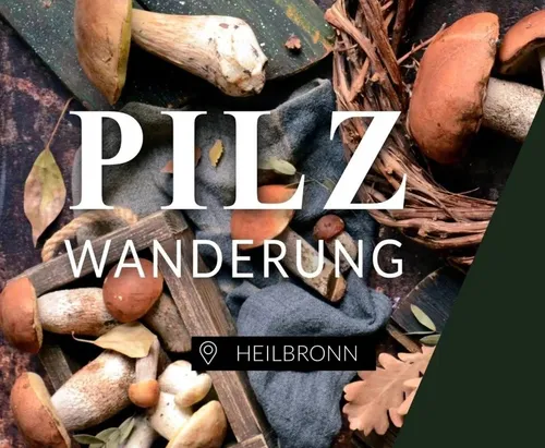 Essbare Pilze bestimmen in Heilbronn