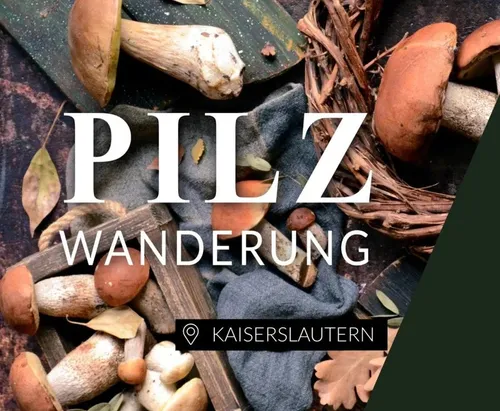 Pilze ausgelegt mit Text für Wanderung.