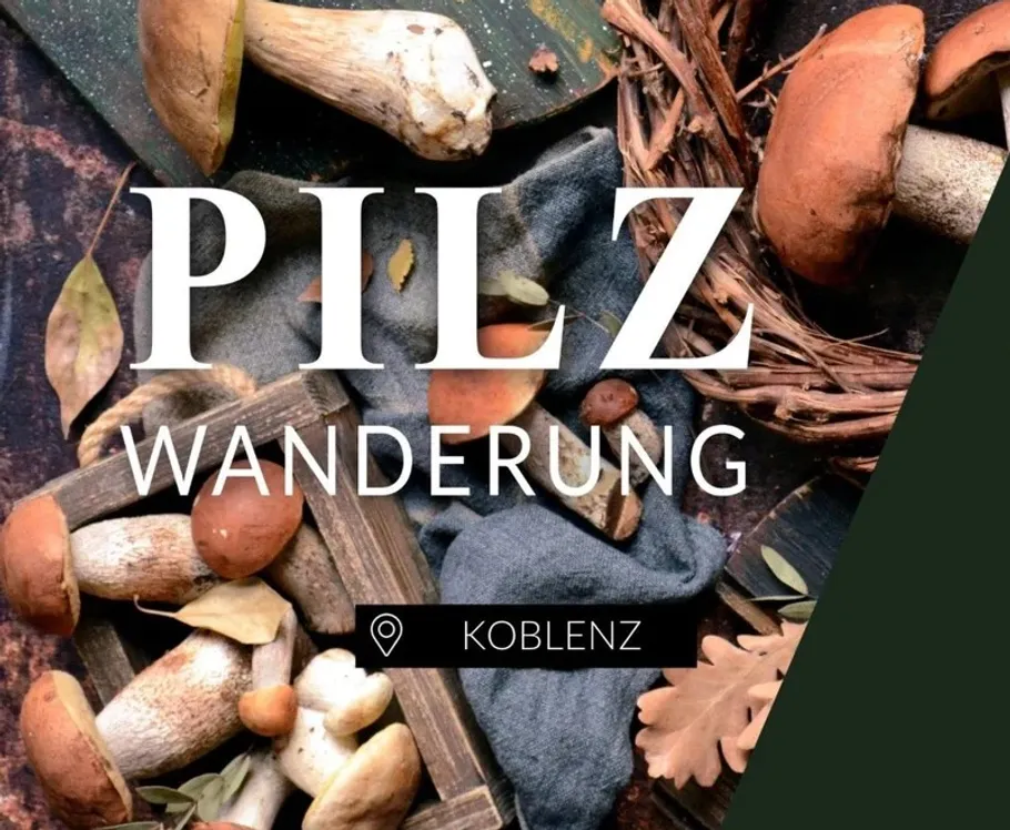 Pilze arrangiert mit Blättern und Stoff.