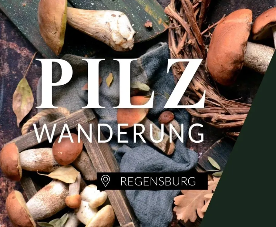 Pilze auf rustikalem Holzhintergrund.