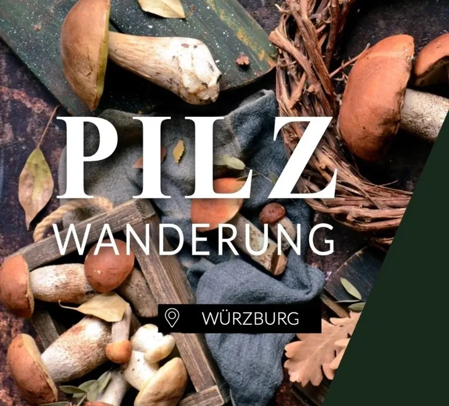 Pilze auf rustikalem Waldboden platziert.