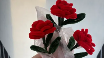 Red flowers made from pipe cleaners.