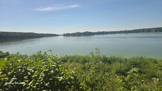 Lake view with lush greenery and blue sky.