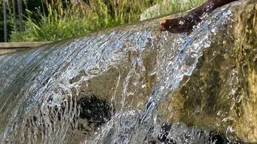 Wasser fließt über Steine in der Natur.
